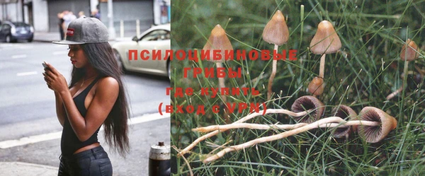 бошки Беломорск