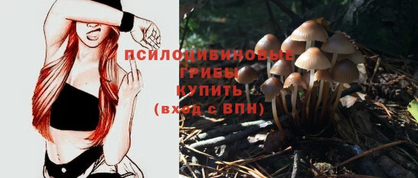 ГАЛЛЮЦИНОГЕННЫЕ ГРИБЫ Белокуриха