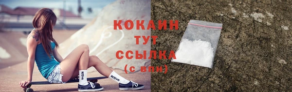 ГАЛЛЮЦИНОГЕННЫЕ ГРИБЫ Белокуриха