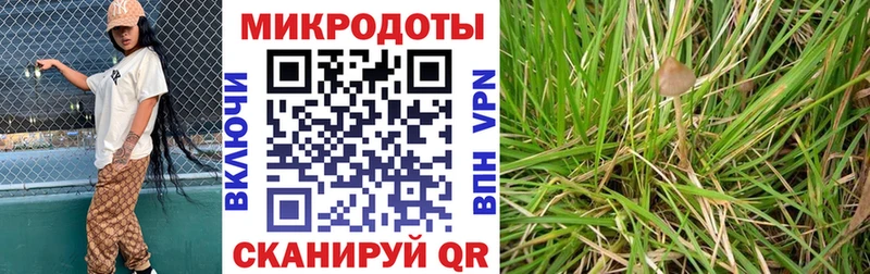 Галлюциногенные грибы прущие грибы  продажа наркотиков  Ужур 